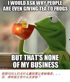 青蛙围观吃瓜,一场别开生面的“吃瓜”盛宴