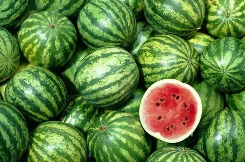 炸姐吃瓜社中的每日大瓜,揭秘今日娱乐圈大事件，热点追踪不停歇