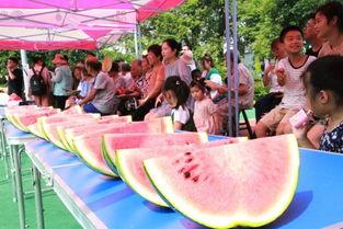 清凉一夏拾趣吃瓜节,清凉一夏拾趣吃瓜节盛况回顾